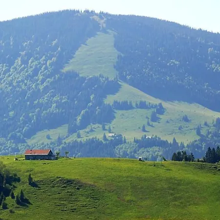 Almherzl - Hallenbad, Sauna, Bergblick, Ski, Renoviert Apartamento Missen-Wilhams